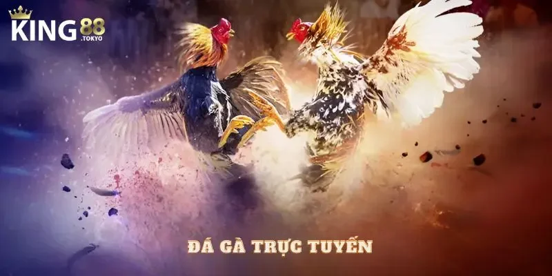 Đá gà trực tuyến