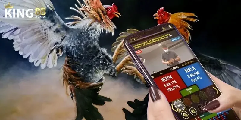 Những lưu ý để tải app cược đá gà thành công