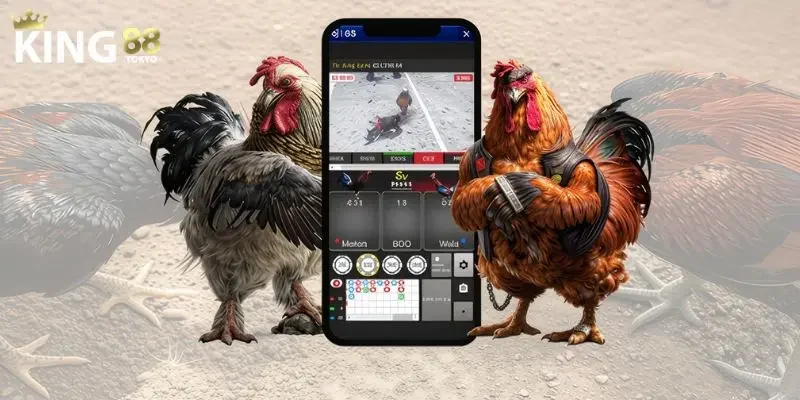 Thông tin chung về app đá gà