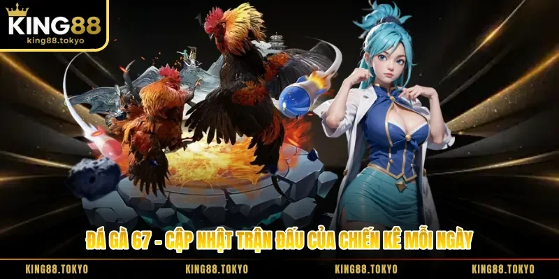 Đá Gà 67 - Cập Nhật Trận Đấu Của Chiến Kê Mỗi Ngày