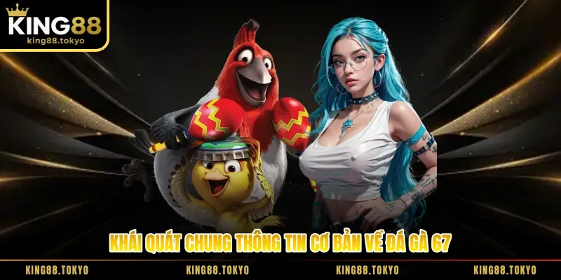 Khái quát chung thông tin cơ bản về đá gà 67