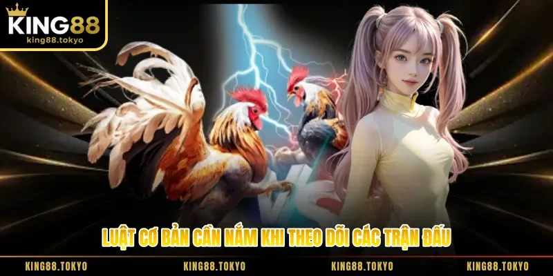 Luật cơ bản cần nắm khi theo dõi các trận đấu